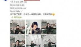 娱乐圈是我的.体育圈是干净的吗,揭秘两大领域的不同面貌